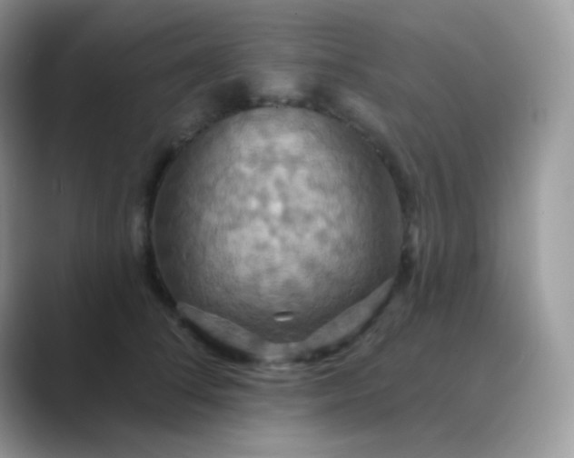X0000089720708200707051720