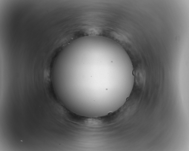 X0000089720714200707051720