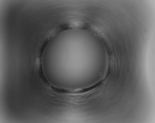 X0000089720716200707051720