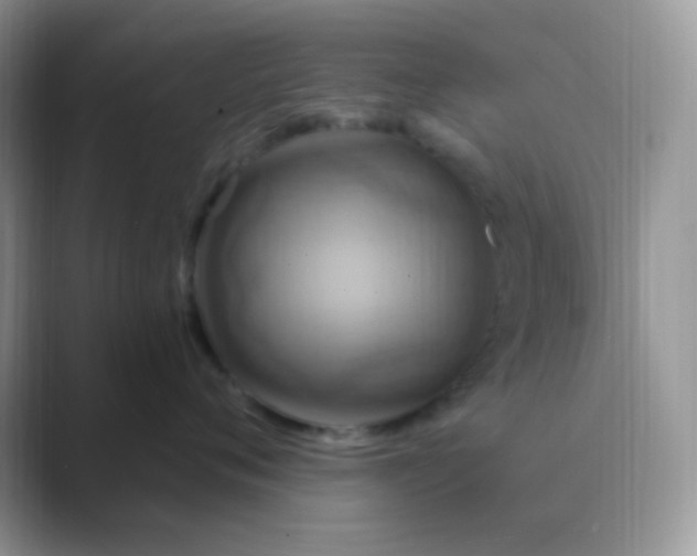 X0000089720720200707051720