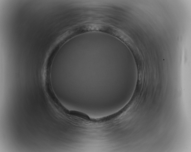 X0000089720722200707051719