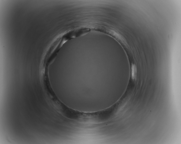 X0000089720723200707051719