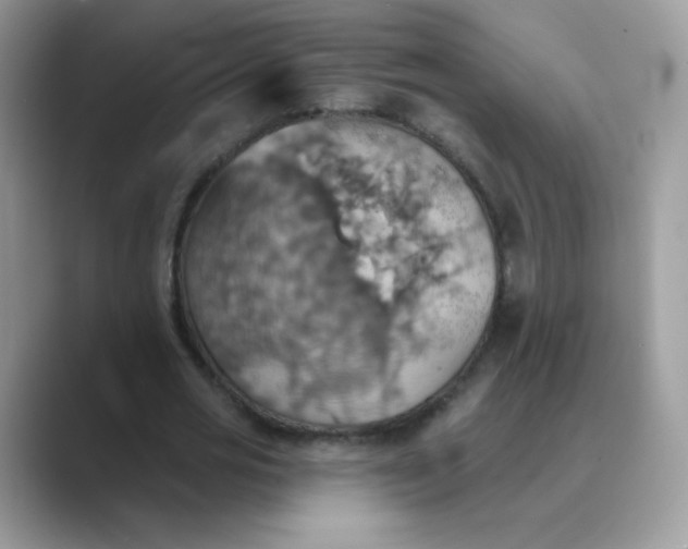 X0000089720725200707051719