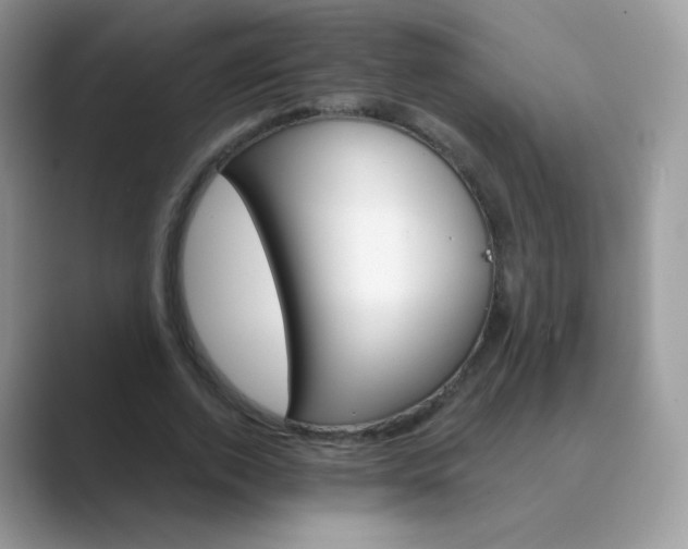 X0000089720728200707051719