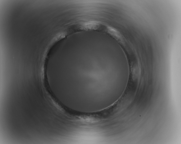 X0000089720729200707051719