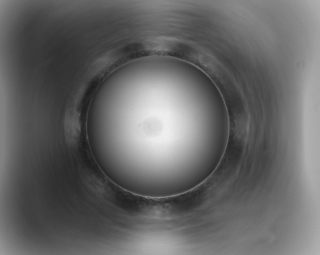 X0000089720731200707051719