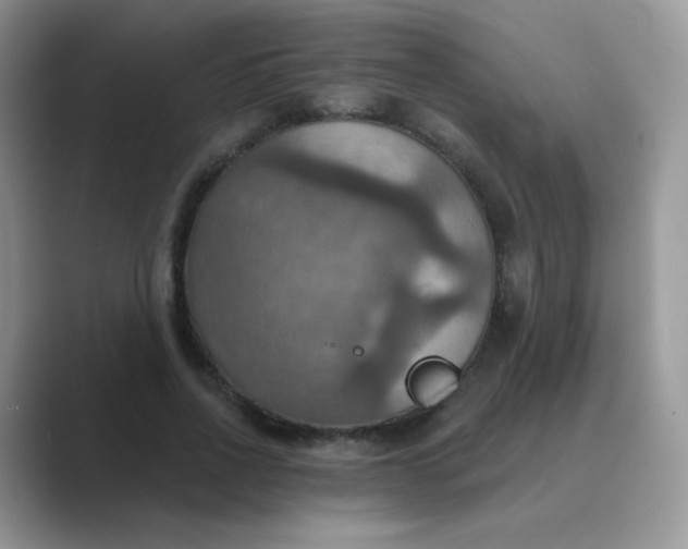 X0000089720734200707051719