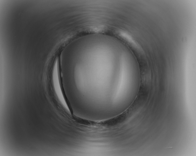 X0000089720736200707051719