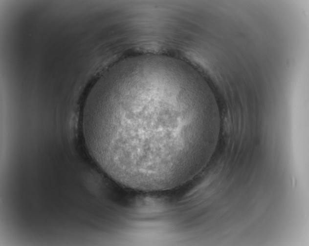 X0000089720739200707051720