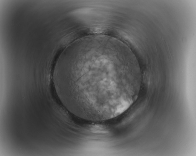 X0000089720741200707051720