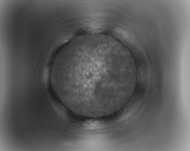 X0000089720742200707051720