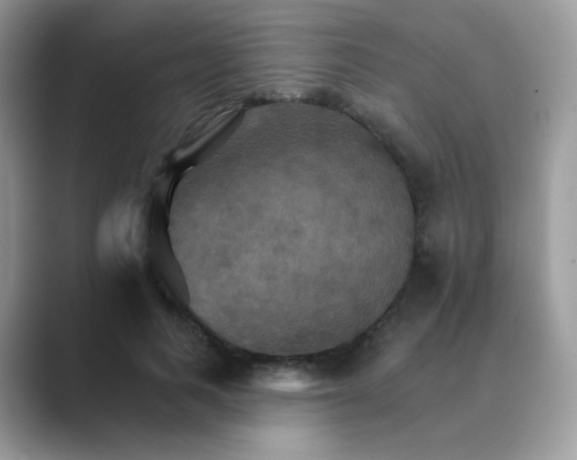 X0000089720743200707051720