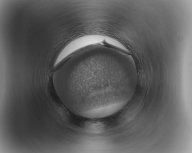 X0000089720747200707051720