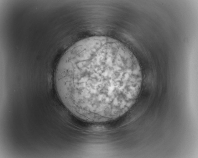 X0000089720749200707051720