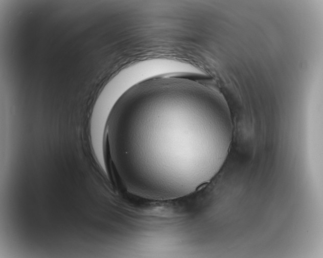 X0000089720750200707051720