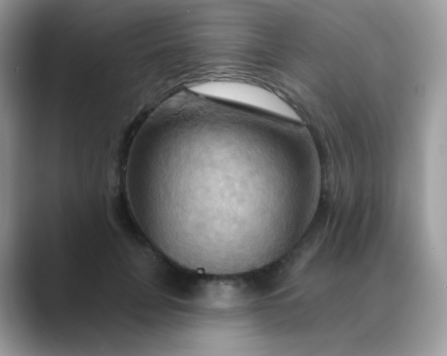 X0000089720751200707051720