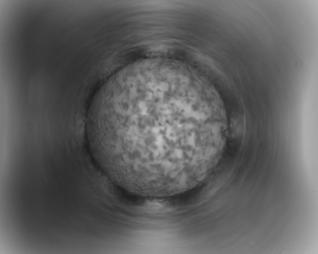 X0000089720753200707051720