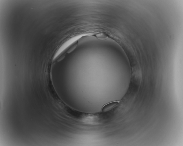 X0000089720754200707051720