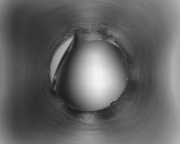 X0000089720756200707051720