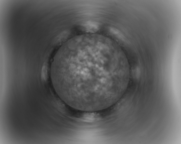 X0000089720757200707051720