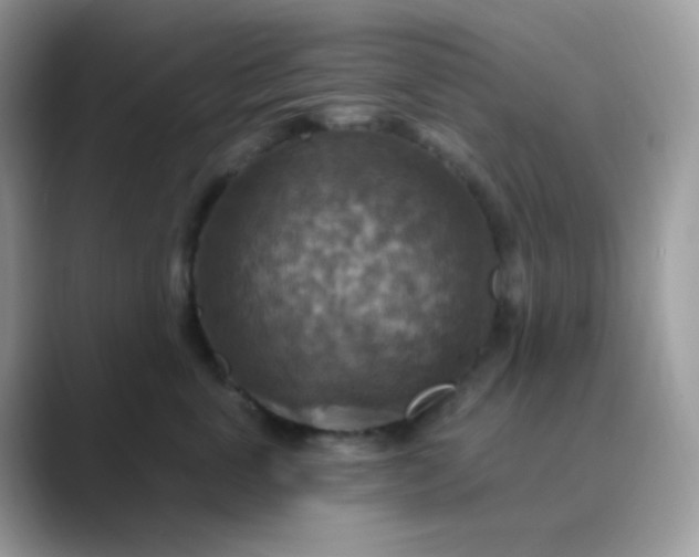 X0000089720763200707051720