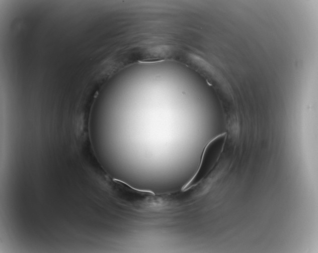 X0000089720764200707051720