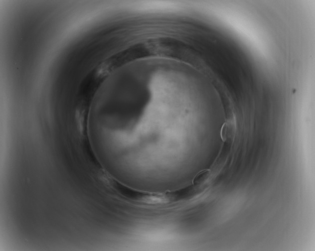 X0000089720765200707051720
