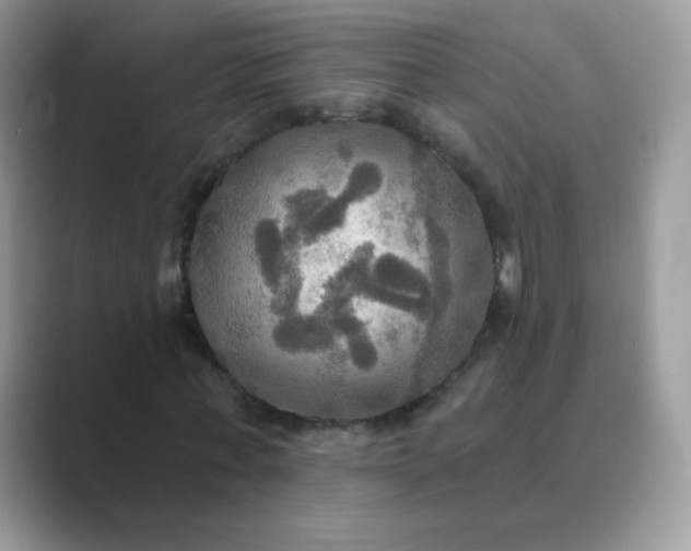 X0000089720771200707051719