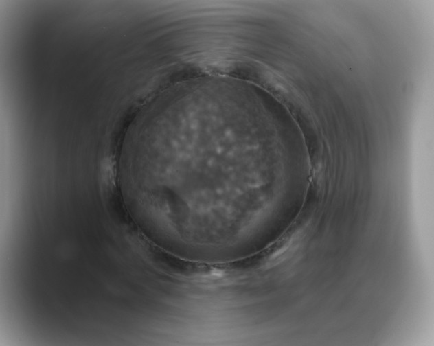 X0000089720772200707051719