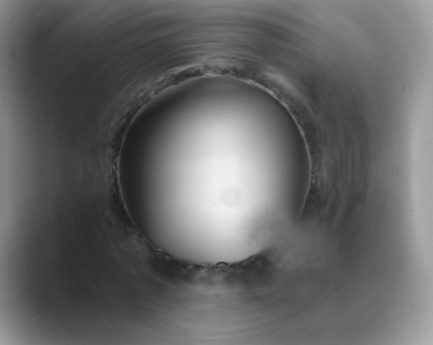 X0000089720773200707051719