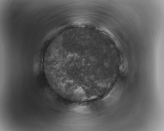 X0000089720775200707051719