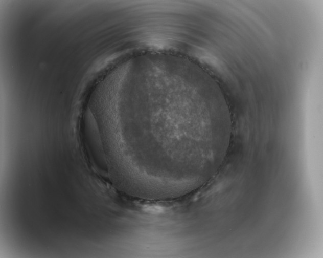 X0000089720776200707051719