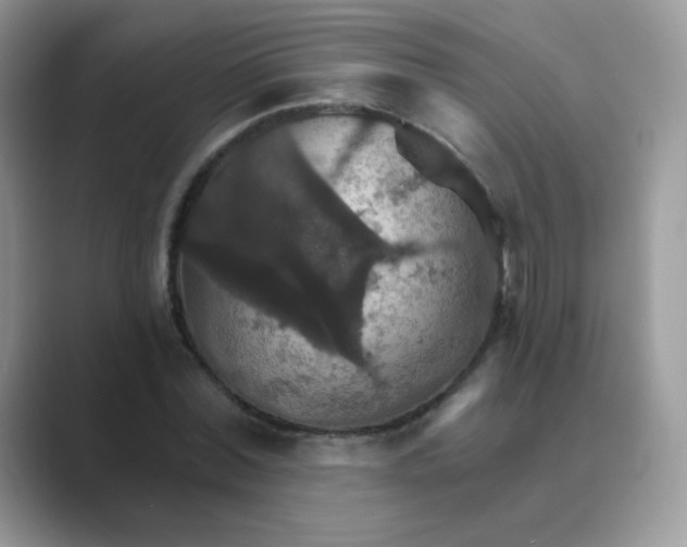 X0000089720780200707051719