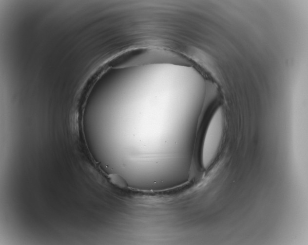 X0000089720781200707051719