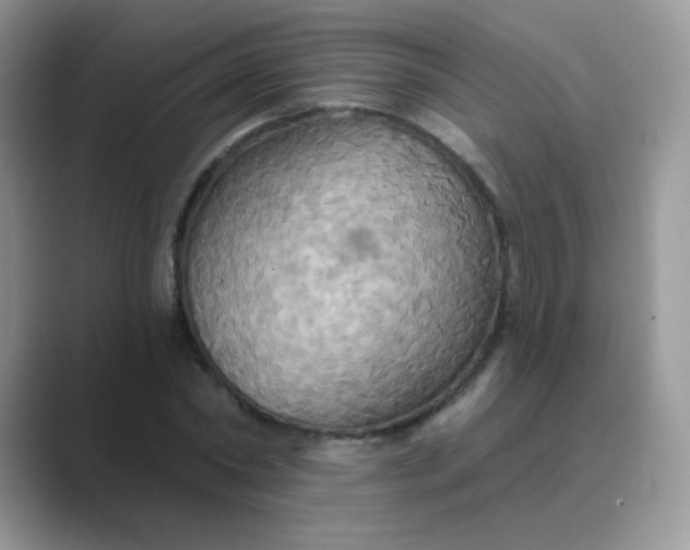 X0000089720782200707051719