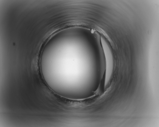 X0000089720786200707051719