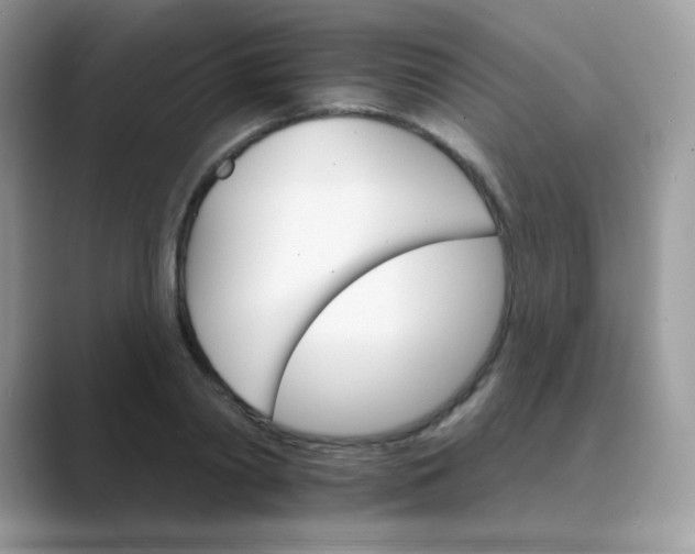 X0000089720790200707051719