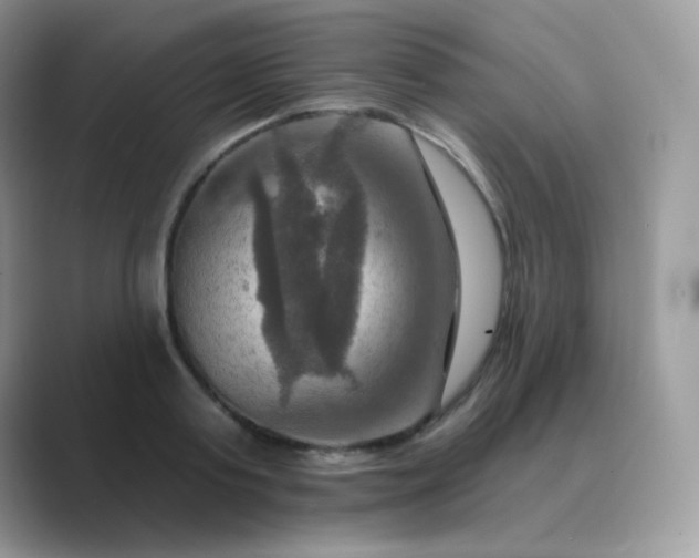 X0000089720795200707051719