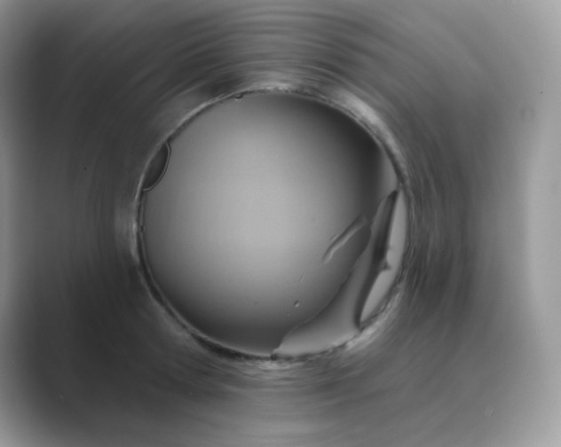 X0000089720802200707051719