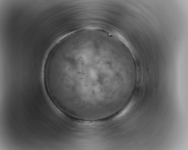 X0000089720803200707051719