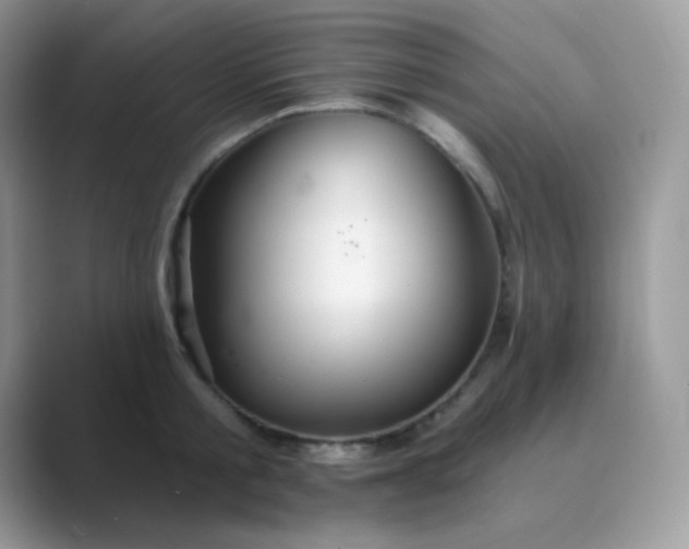 X0000089720805200707051719