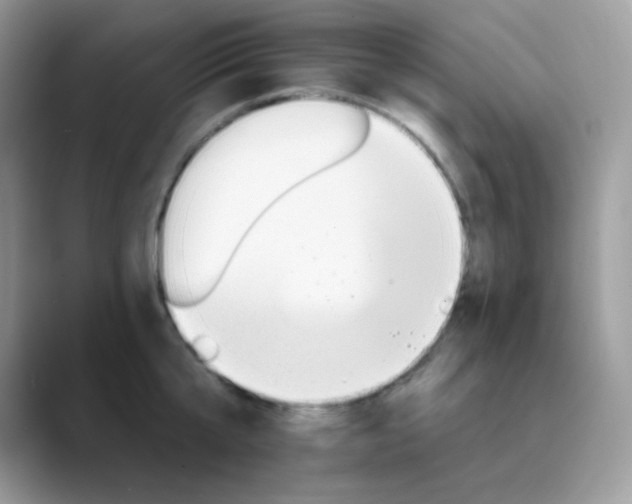 X0000089720807200707051719