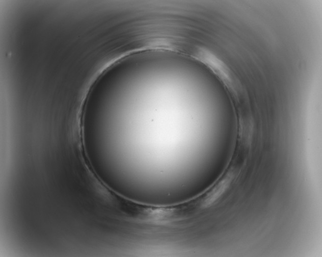 X0000089720808200707051719