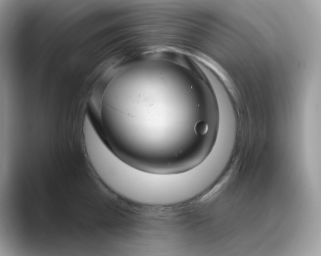 X0000089720809200707051719
