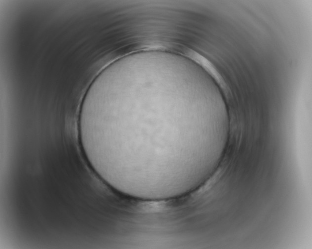 X0000089720810200707051719