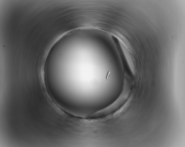 X0000089720812200707051719