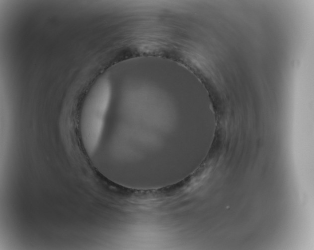 X0000089720817200707051718