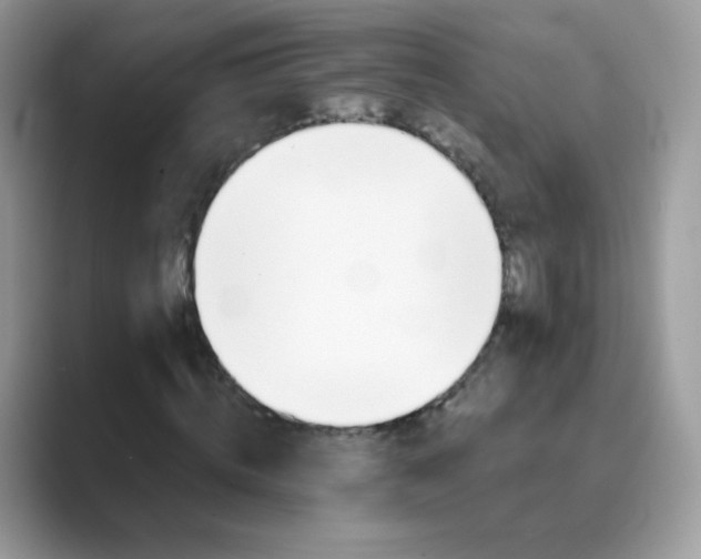 X0000089720820200707051718