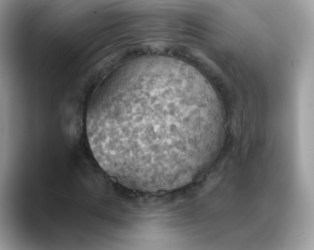 X0000089720821200707051718