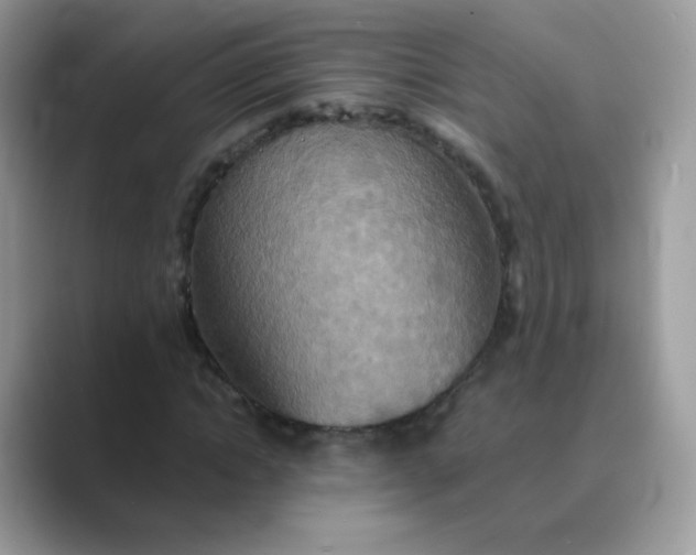 X0000089720822200707051718